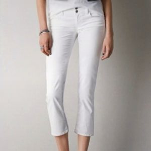 AE Artist Crop Capri 10